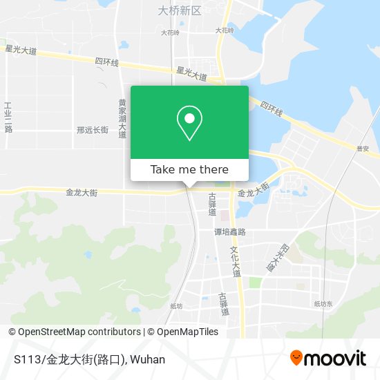 S113/金龙大街(路口) map