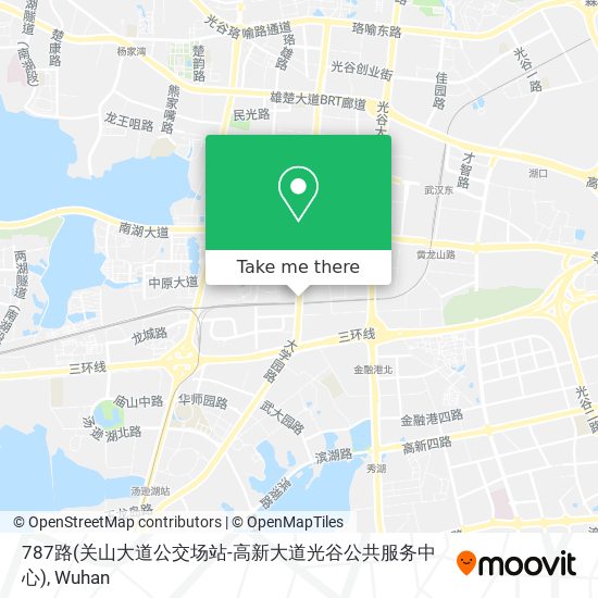 787路(关山大道公交场站-高新大道光谷公共服务中心) map