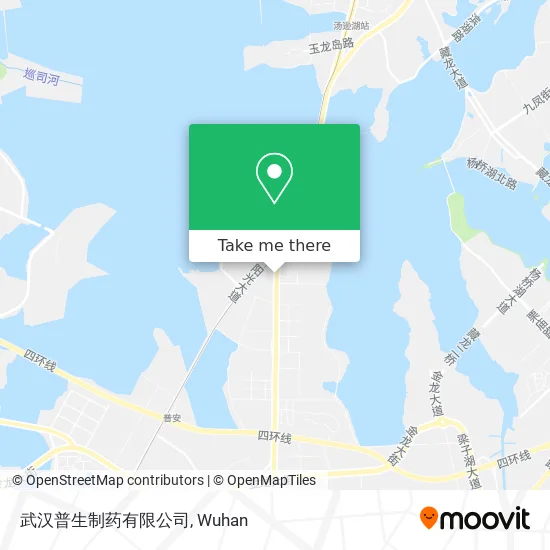 武汉普生制药有限公司 map