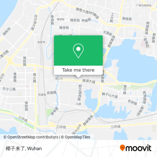 椰子来了 map