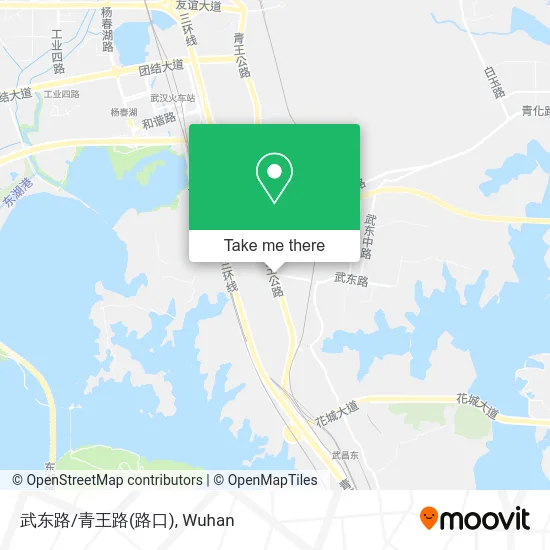 武东路/青王路(路口) map