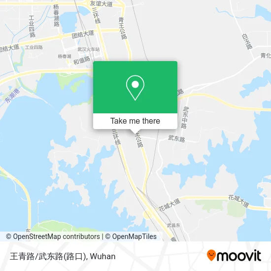 王青路/武东路(路口) map