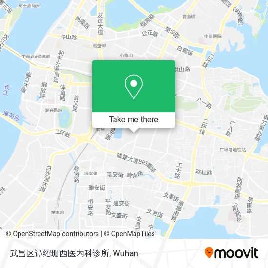 武昌区谭绍珊西医内科诊所 map