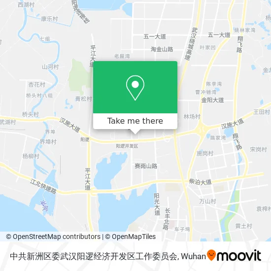中共新洲区委武汉阳逻经济开发区工作委员会 map