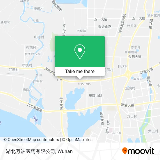 湖北万洲医药有限公司 map