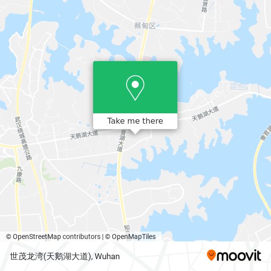 世茂龙湾(天鹅湖大道) map
