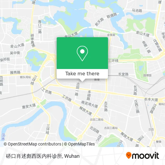 硚口肖述彪西医内科诊所 map