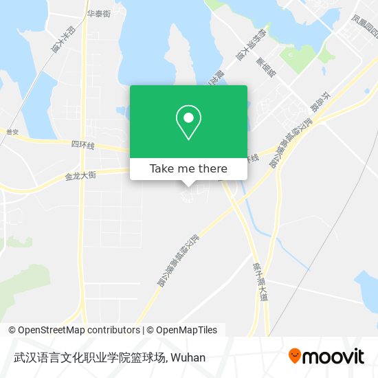 武汉语言文化职业学院篮球场 map