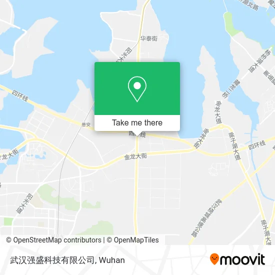 武汉强盛科技有限公司 map