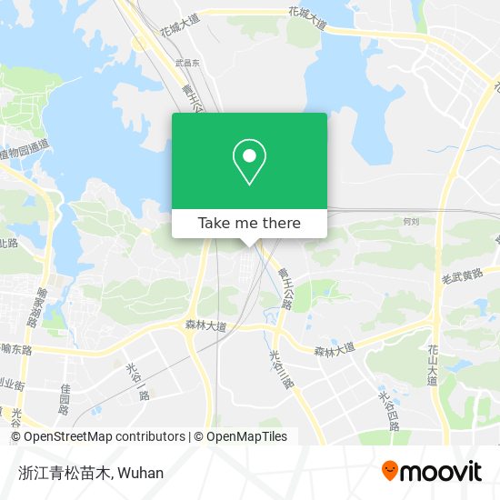 浙江青松苗木 map