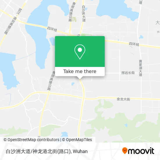 白沙洲大道/神龙港北街(路口) map