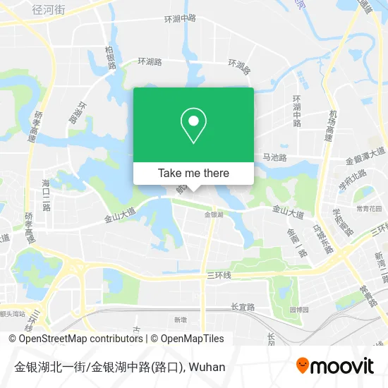 金银湖北一街/金银湖中路(路口) map
