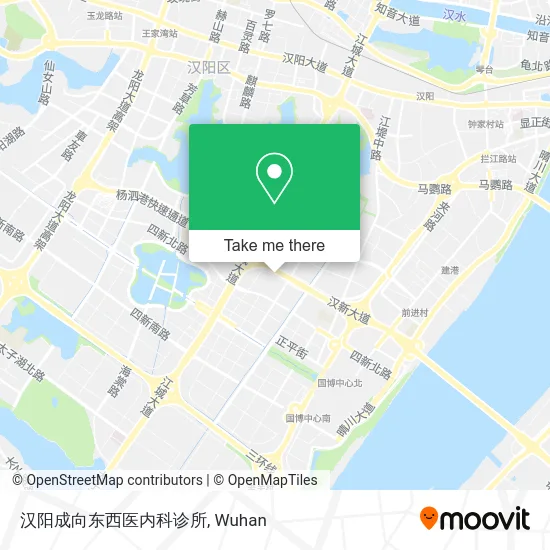 汉阳成向东西医内科诊所 map