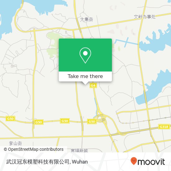 武汉冠东模塑科技有限公司 map