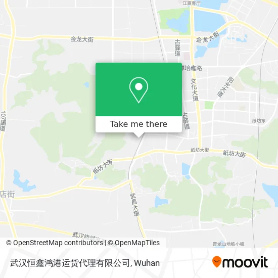 武汉恒鑫鸿港运货代理有限公司 map
