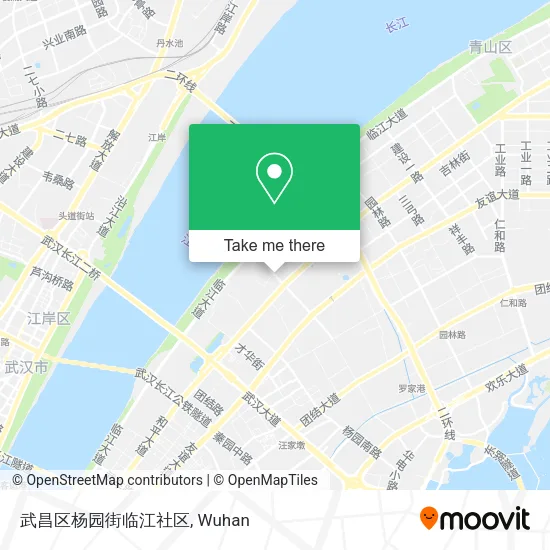 武昌区杨园街临江社区 map