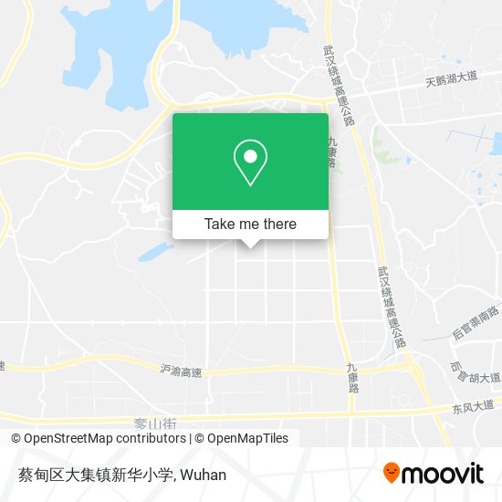 蔡甸区大集镇新华小学 map