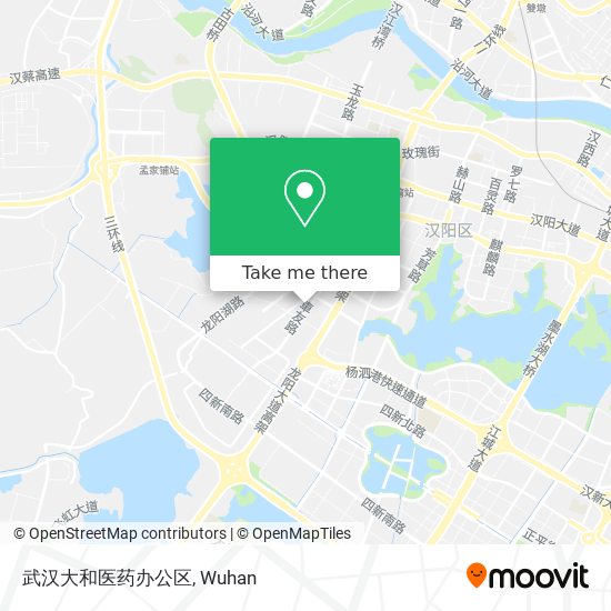 武汉大和医药办公区 map