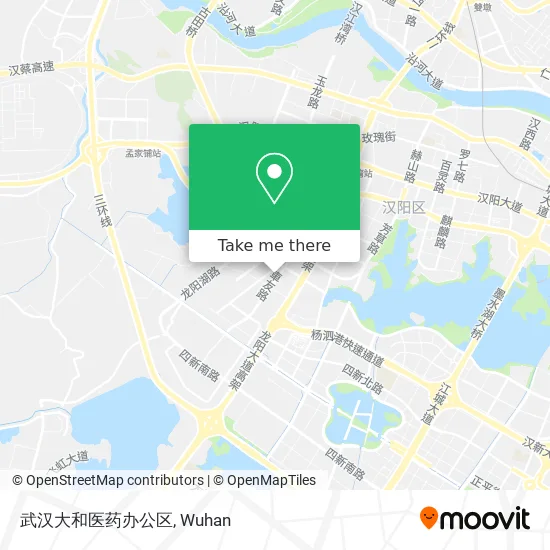 武汉大和医药办公区 map
