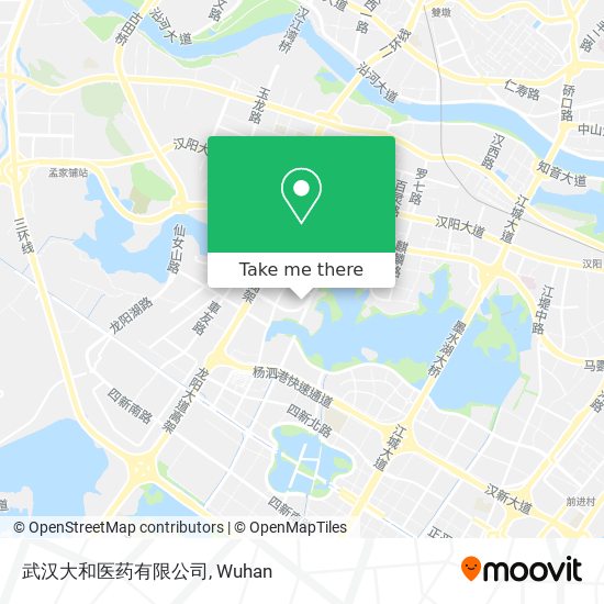 武汉大和医药有限公司 map