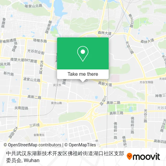 中共武汉东湖新技术开发区佛祖岭街道湖口社区支部委员会 map