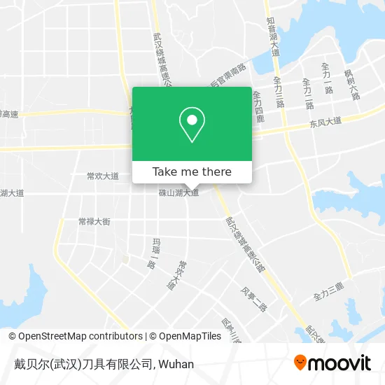 戴贝尔(武汉)刀具有限公司 map