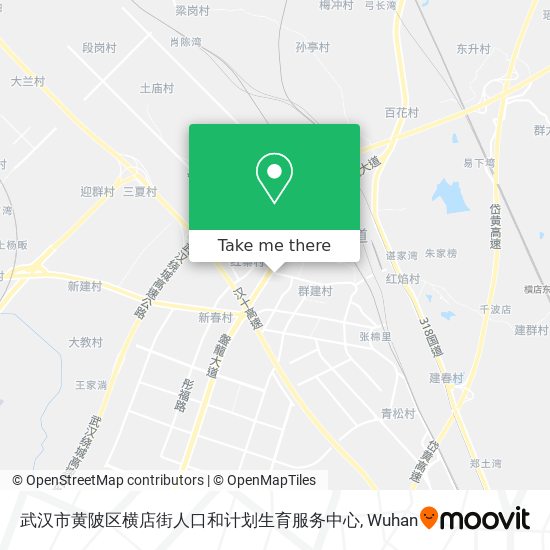 武汉市黄陂区横店街人口和计划生育服务中心 map