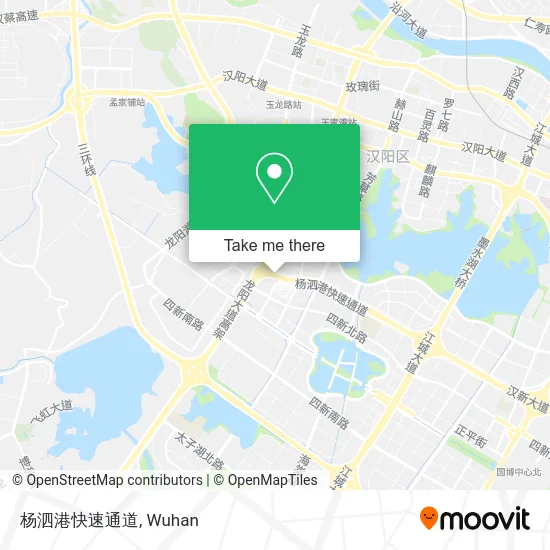 杨泗港快速通道 map