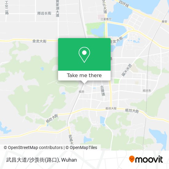 武昌大道/沙羡街(路口) map
