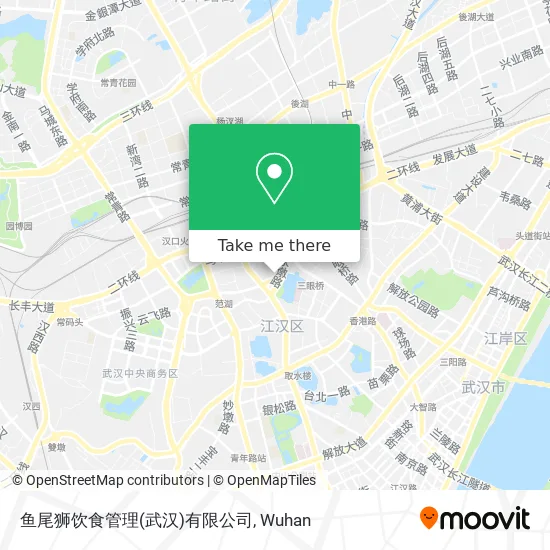 鱼尾狮饮食管理(武汉)有限公司 map