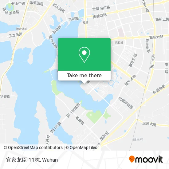 宜家龙臣-11栋 map