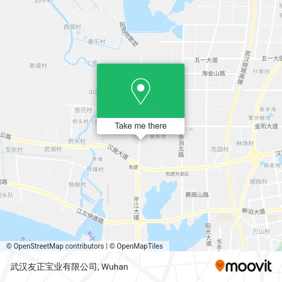 武汉友正宝业有限公司 map