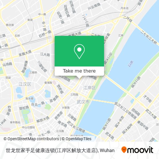 世龙世家手足健康连锁(江岸区解放大道店) map