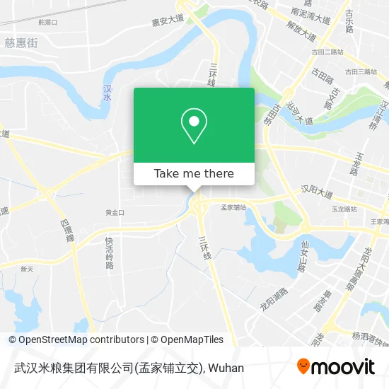 武汉米粮集团有限公司(孟家铺立交) map
