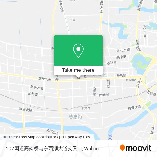 107国道高架桥与东西湖大道交叉口 map