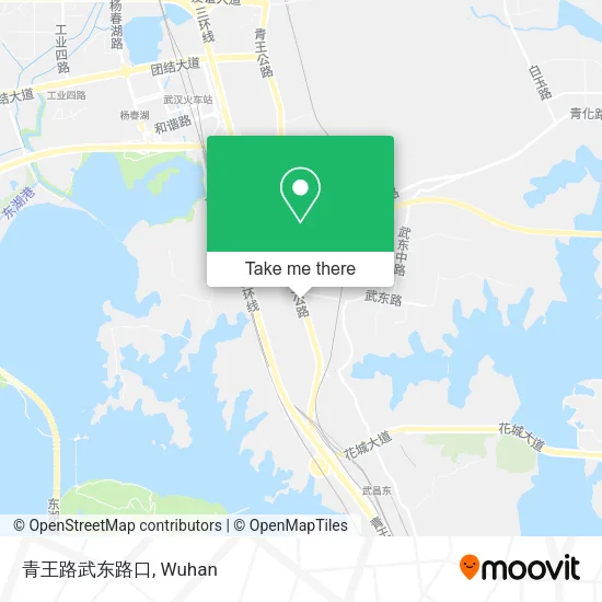 青王路武东路口 map