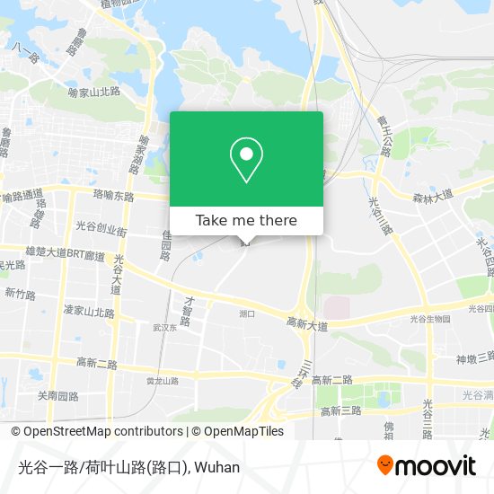 光谷一路/荷叶山路(路口) map