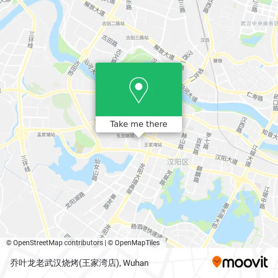 乔叶龙老武汉烧烤(王家湾店) map