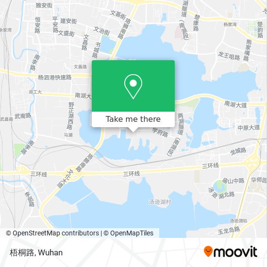 梧桐路 map