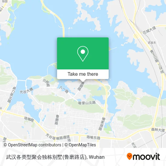 武汉各类型聚会独栋别墅(鲁磨路店) map