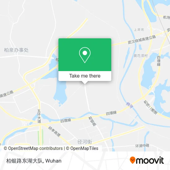 柏银路东湖大队 map