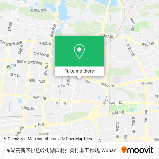 东湖高新区佛祖岭街湖口村扫黄打非工作站 map