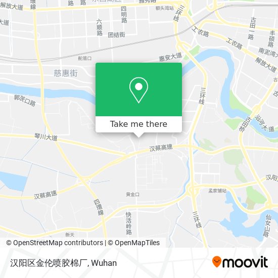 汉阳区金伦喷胶棉厂 map