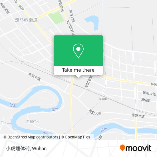 小虎通体砖 map