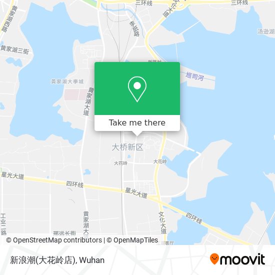 新浪潮(大花岭店) map