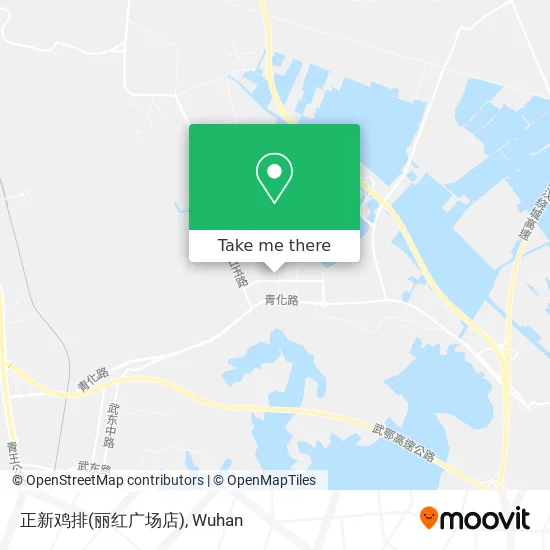 正新鸡排(丽红广场店) map
