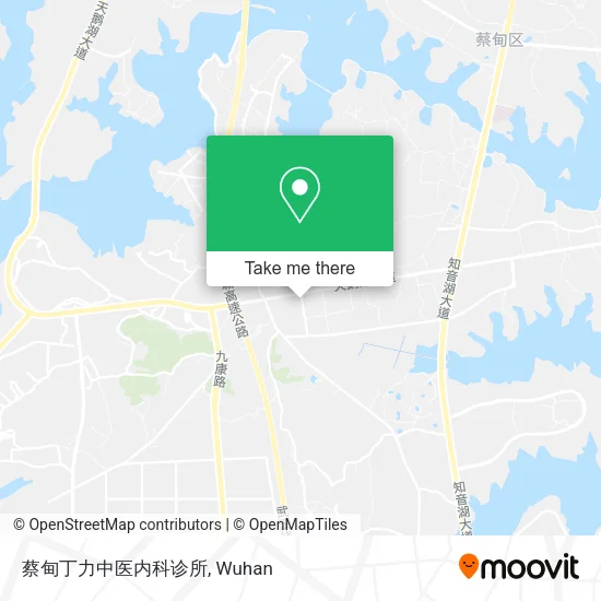 蔡甸丁力中医内科诊所 map