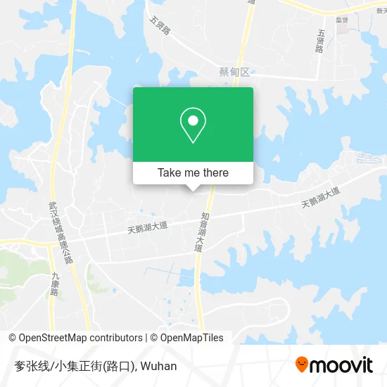 奓张线/小集正街(路口) map