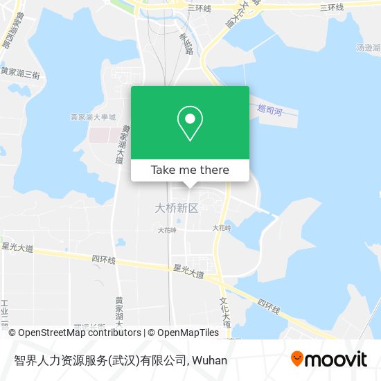 智界人力资源服务(武汉)有限公司 map