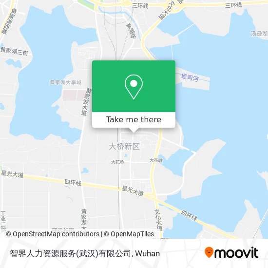 智界人力资源服务(武汉)有限公司 map